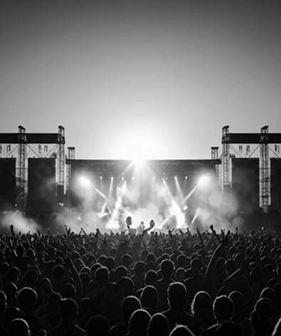 Concert crowd